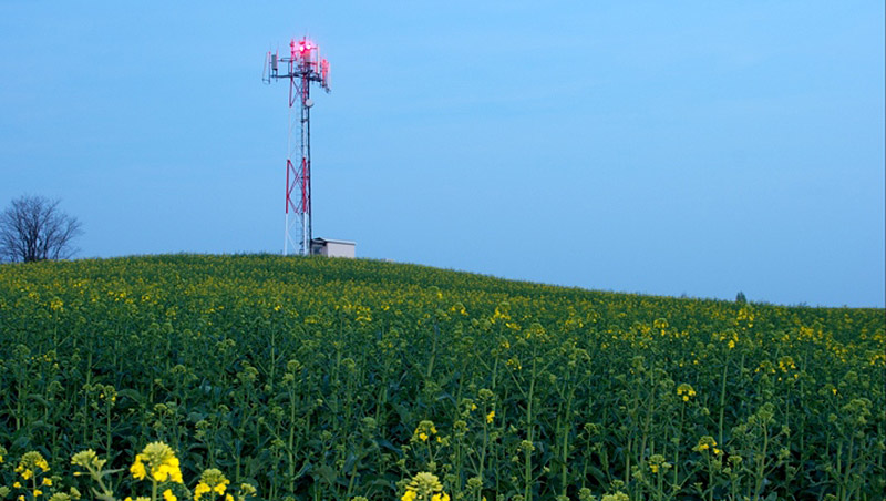 Radio Tower in Field